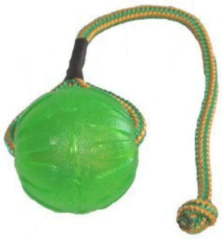 Akční Cena Swing and Fling Chew ball