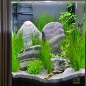 Kámen Purple Jade Rock M, 2,3-2,7 kg Dokud Zásoby Vydrží
