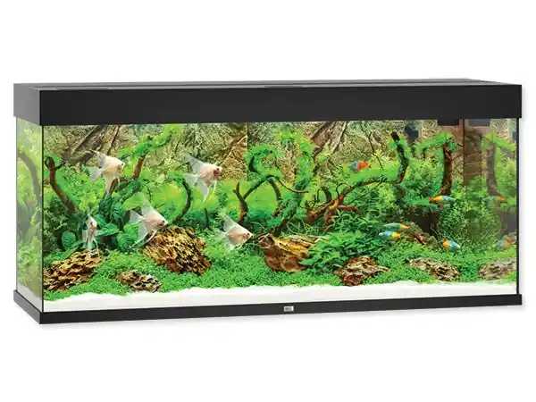 Akvarium JUWEL Rio LED 240 Cenový Hit