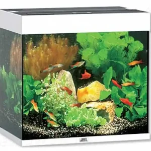 Akvarium JUWEL Lido LED 120 Sezónní Sleva
