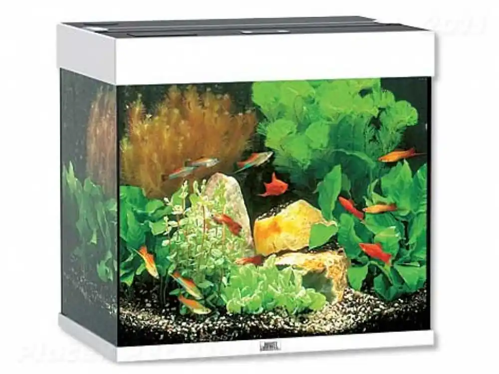 Akvarium JUWEL Lido LED 120 Sezónní Sleva