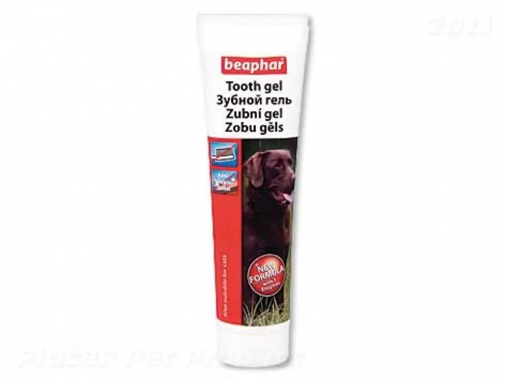 Gel zubní (100g) Originální