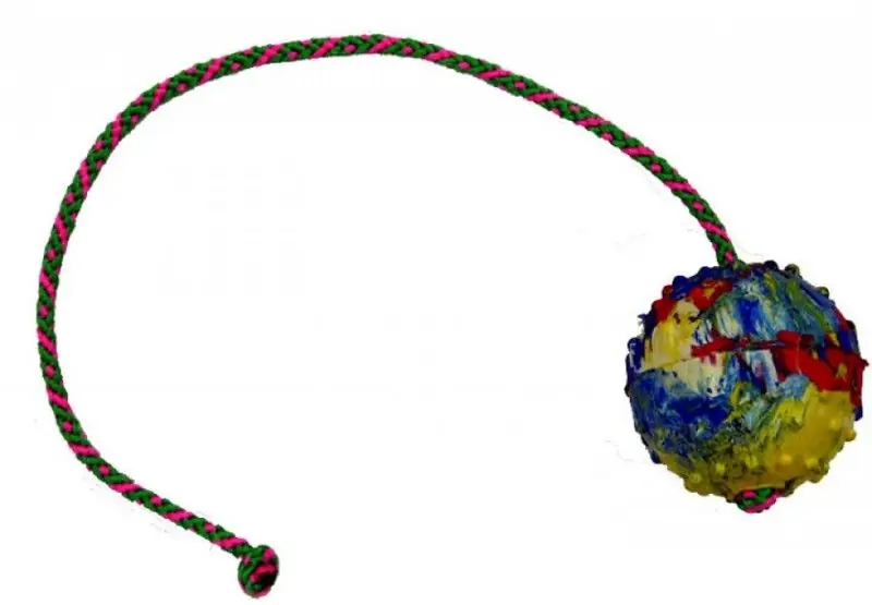 Časově Omezené Balónek, šňůrka 50 cm, prům. 7