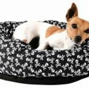 Vysoce Kvalitní Pelech DRAKE lebka/kosti 43cm