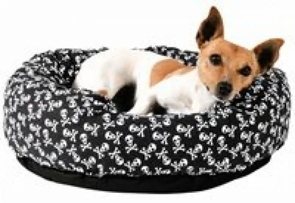 Vysoce Kvalitní Pelech DRAKE lebka/kosti 43cm