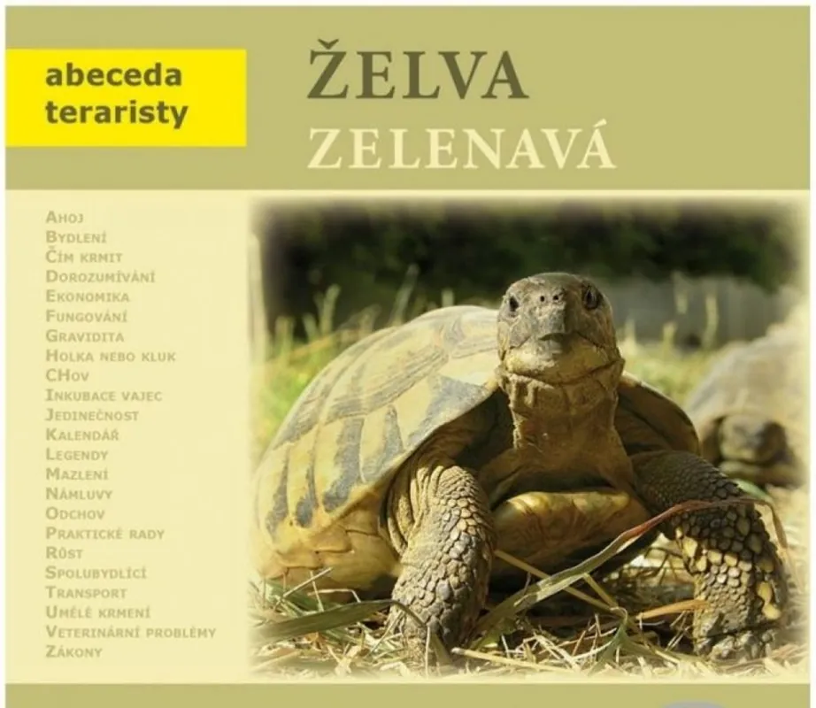 Jen Po Omezenou Doba ŽELVA ZELENAVÁ