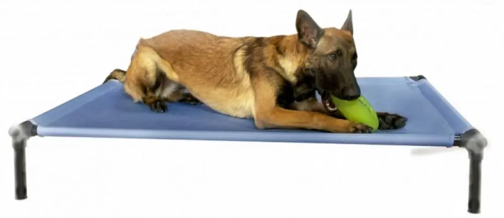 Dogzone M modrá Vysoce Kvalitní
