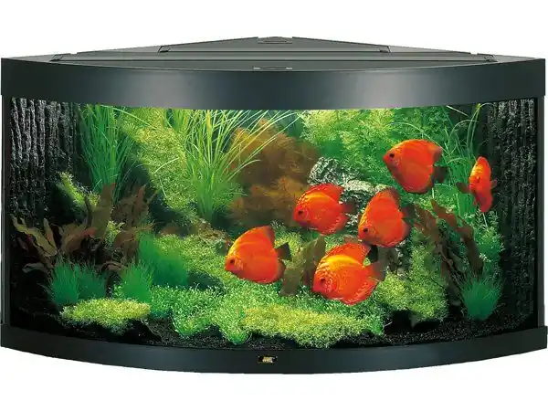 Koupit Online Akvarium JUWEL Trigon LED 350