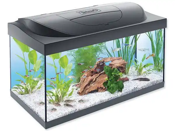 Cenově Výhodný Akvárium set TETRA Starter Line LED (54l)