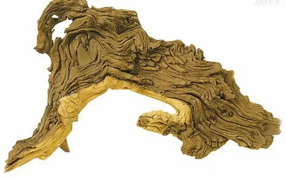Ověřený Dekorace Tropical wood L