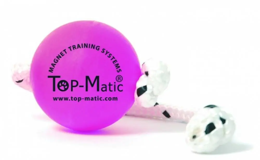 Ihned K Objednání Top Matic FunnBall Puppy Super mini soft růžový