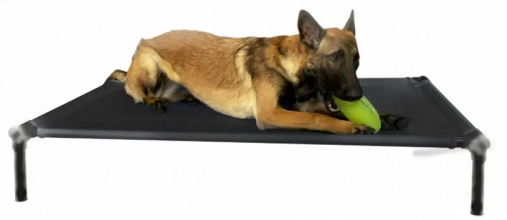 Vysoce Kvalitní Dogzone M šedá
