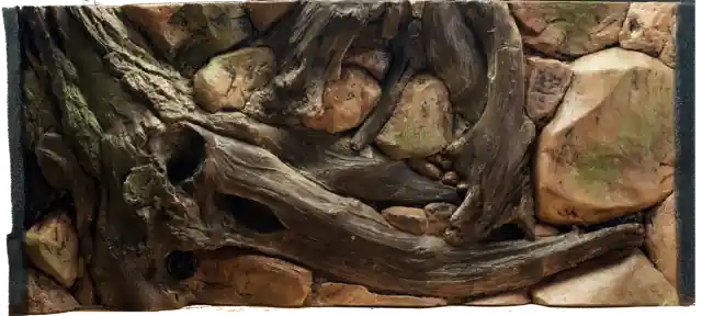 Pozadí amazonka 100x50 Tovární Cena