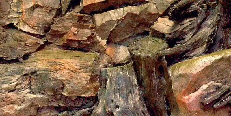 Pozadí kořen 50x30 Novinka
