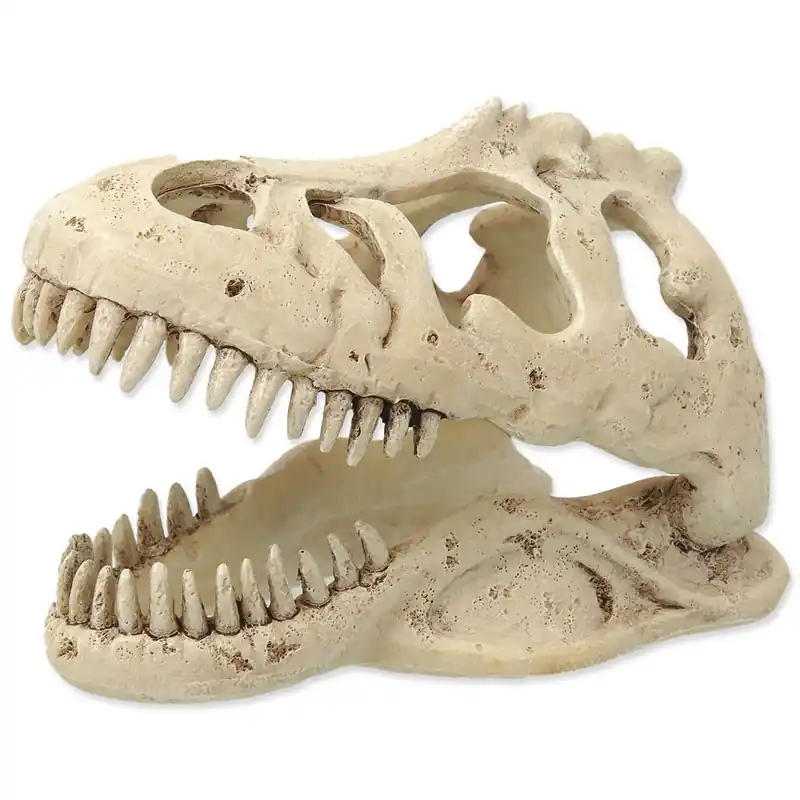 Dekorace REPTI PLANET T-REX lebka 13,3 cm (1ks) Sleva