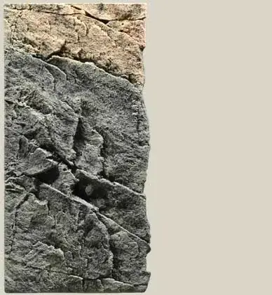 Zpět do přírody Akvarijní pozadí Slimline Basalt/Gneiss 50C, 20 x 45 cm Kup Teď