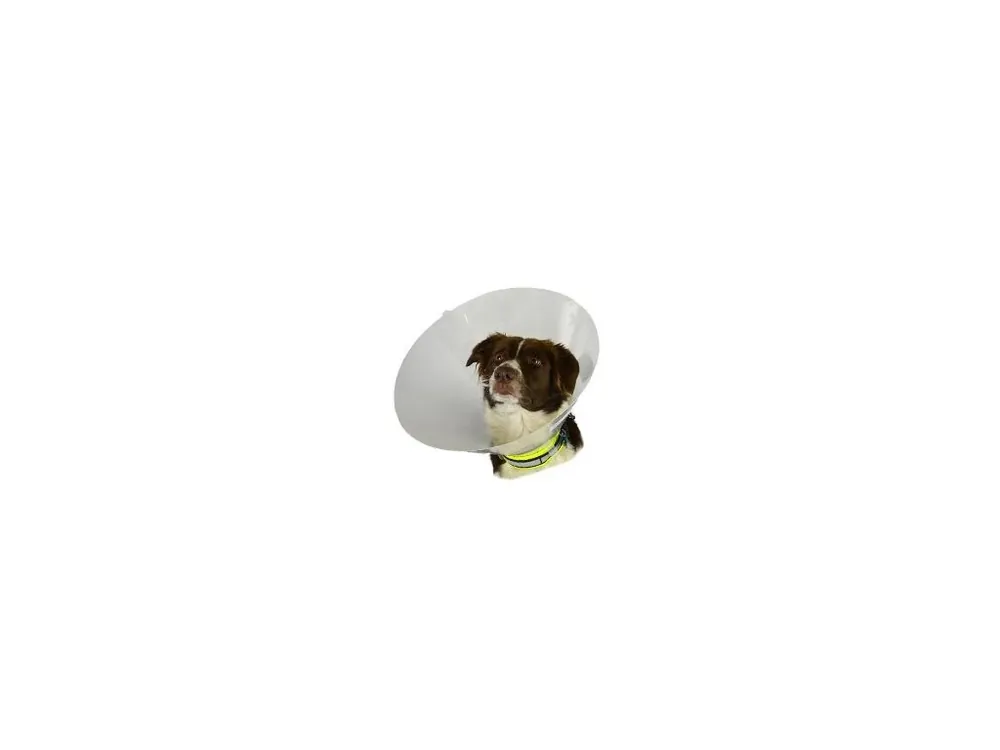 Límec ochranný BUSTER plastový Classic Collar 40cm Horká Nabídka