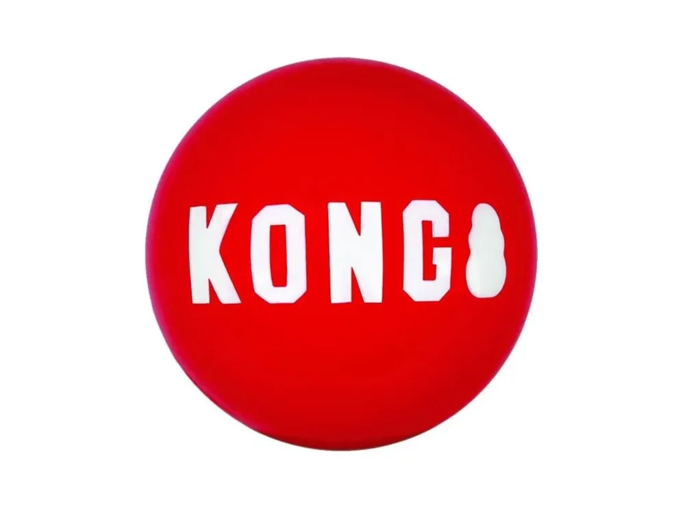 Nejprodávanější Hračka guma KONG Signature Balls L 2 ks