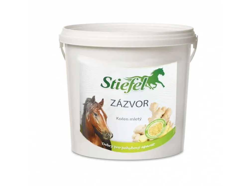 Zázvor, Balení, 1 kg Autentický