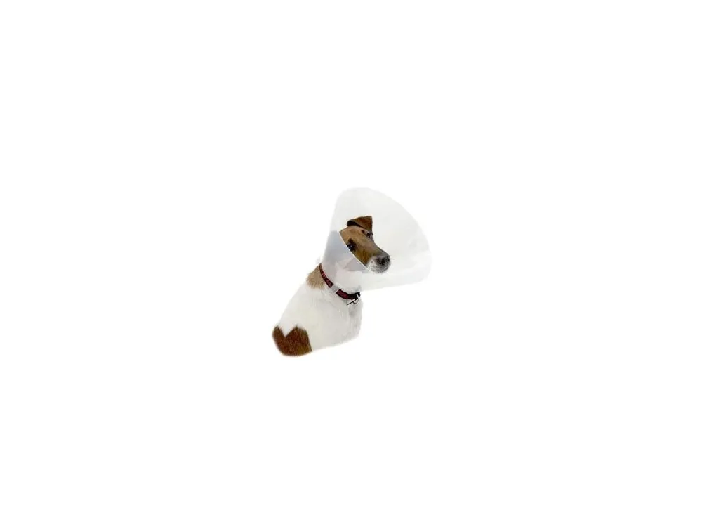 Límec ochranný BUSTER plastový Clic Collar 10cm Cenový Hit