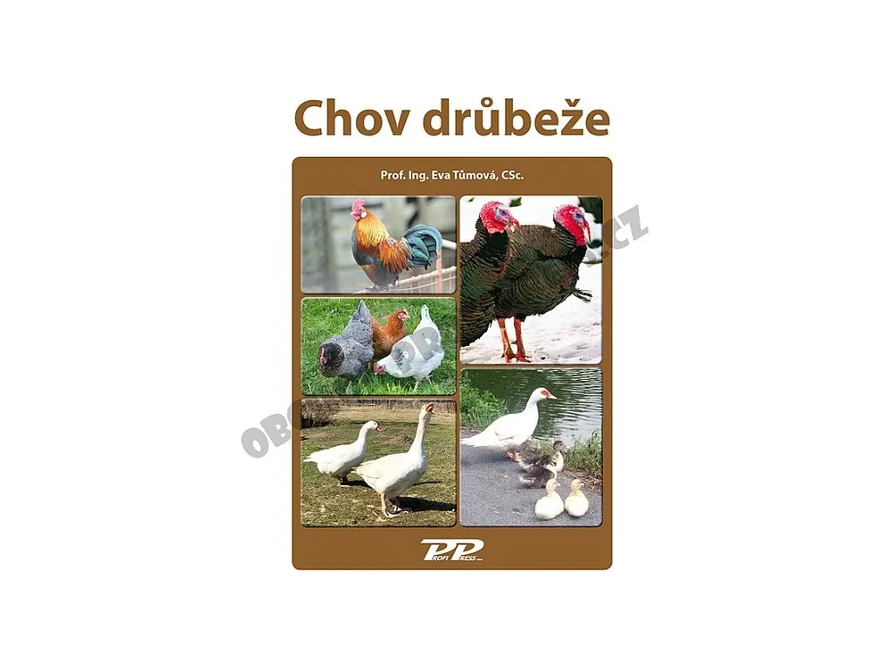 Akční Cena Drobnochovy - Chov drůbeže