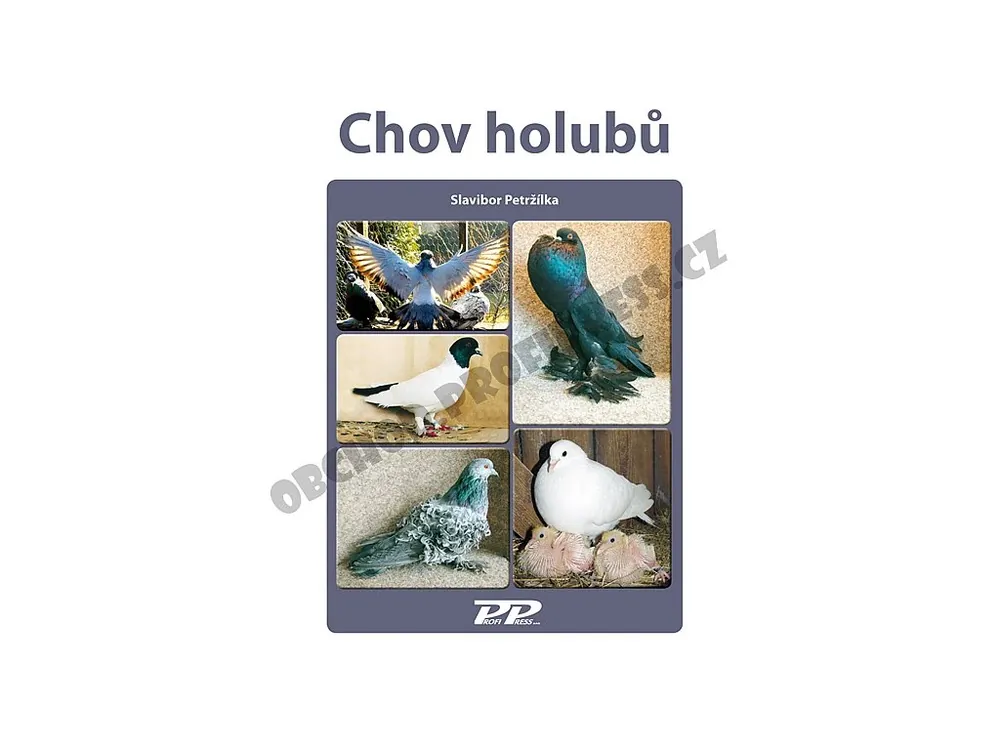 Drobnochovy - Chov holubů Expresní Doručení