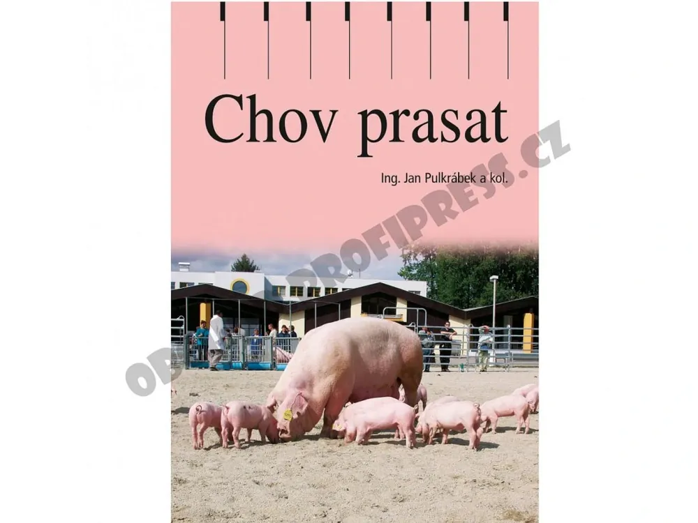 Chov prasat Speciální Cena