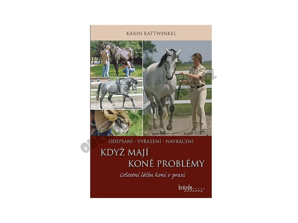 Nízká Cena Když koně mají problémy