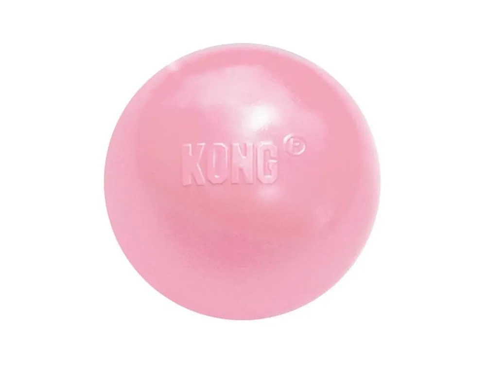 Objednat Nyní Hračka guma KONG Puppy Ball w/Hole S