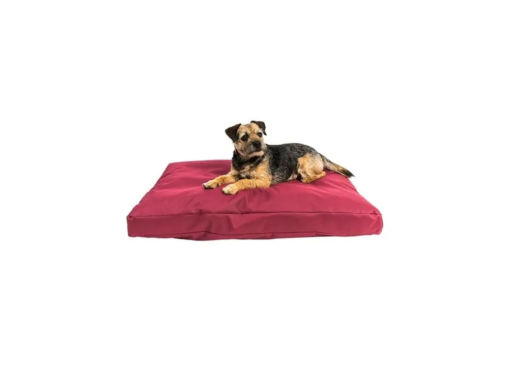 Poslední Šance Matrace nylon Buffy vínová se zipem 90x60x10
