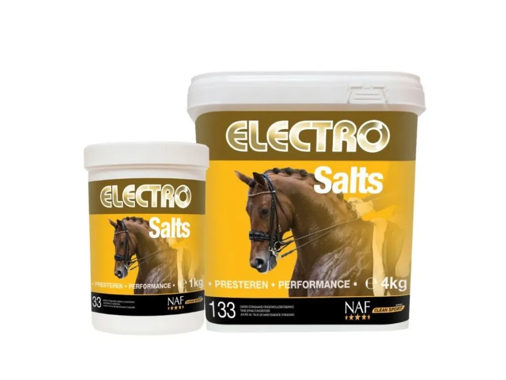 Levný Elektrolyty v prášku při nadměrném pocení Electro Salts, balení 1000g