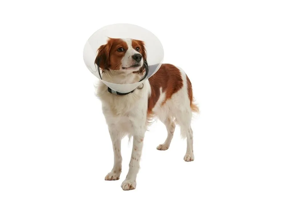 Nízká Cena Límec Buster - clic collar 20cm 273484