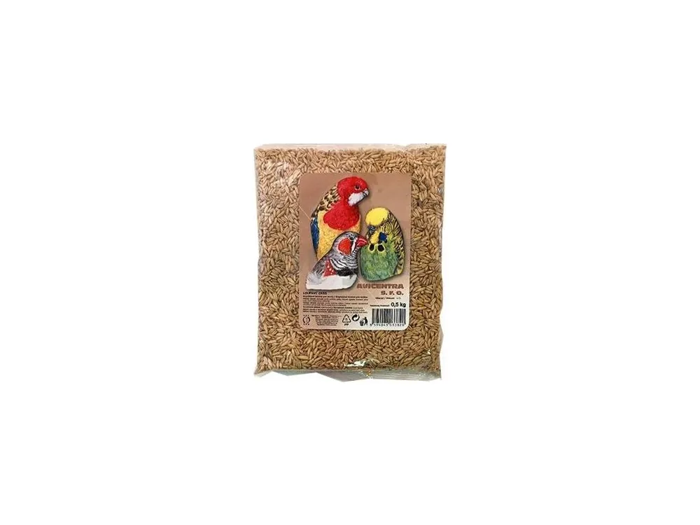 Oves nahý Avicentra 1 kg Pouze Dnes