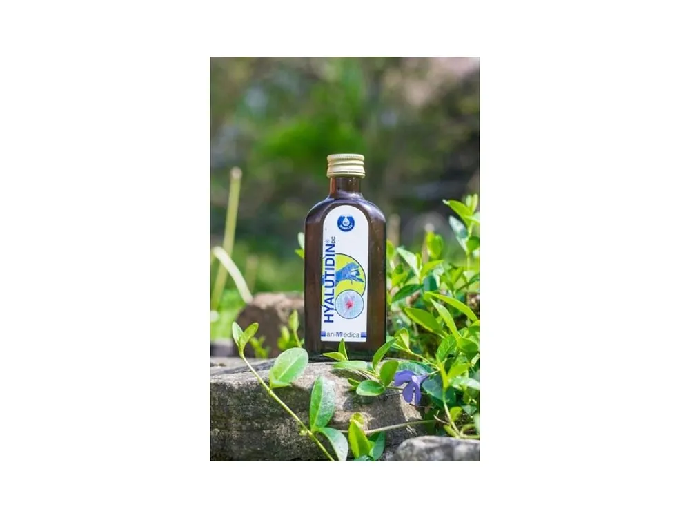 Hyalutidin DC ACTIV pro psy a kočky 2x125ml Zlevněný