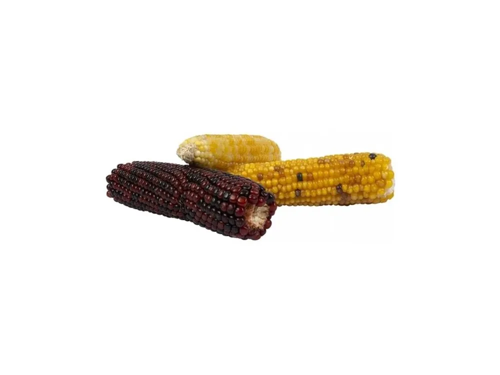 Kukuřice mini klasy kbelík mix DuvoPlus 240 g Levný
