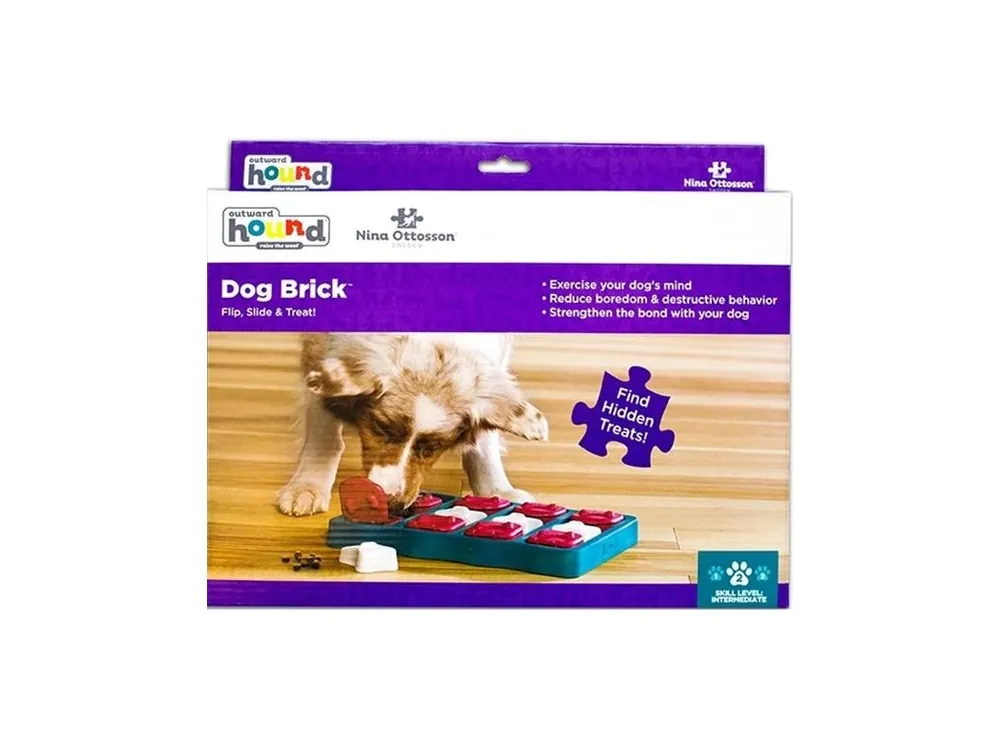 Koupit Online Hračka plast interaktivní Brick RW 1 ks