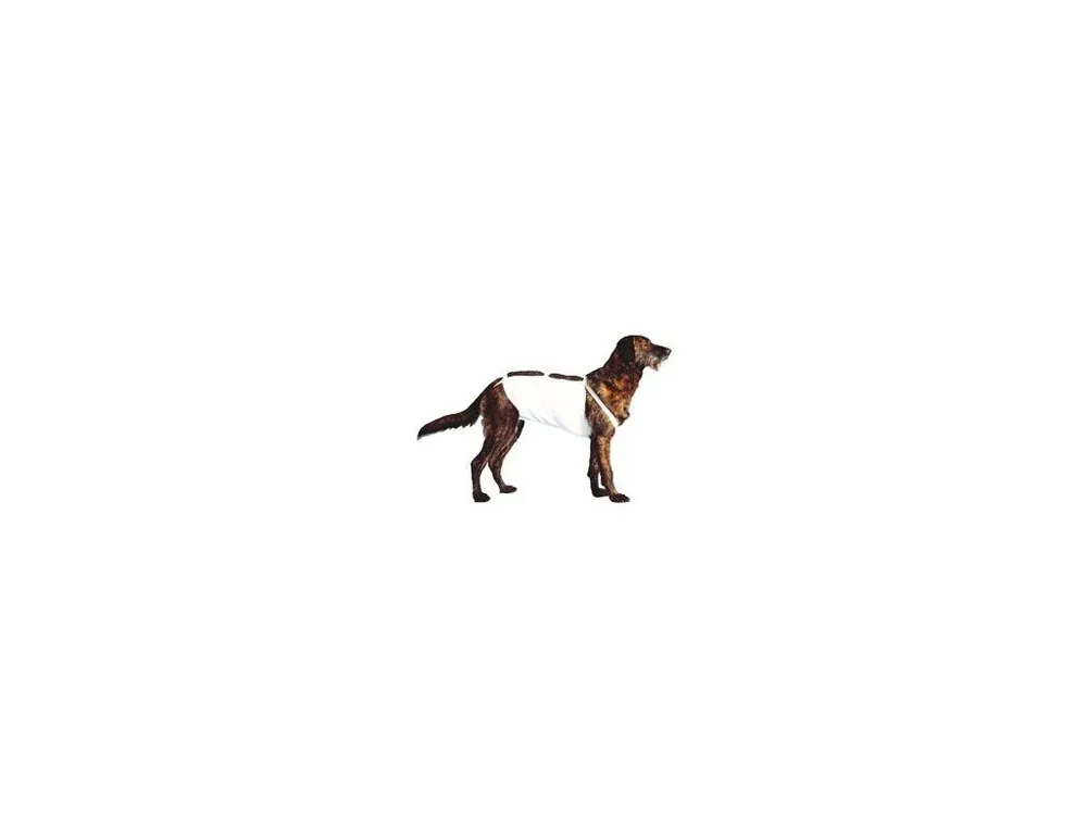 Koupit Online Bandáž břišní č.4 pro psy, 49cm, něm.ovčák 1ks CVET