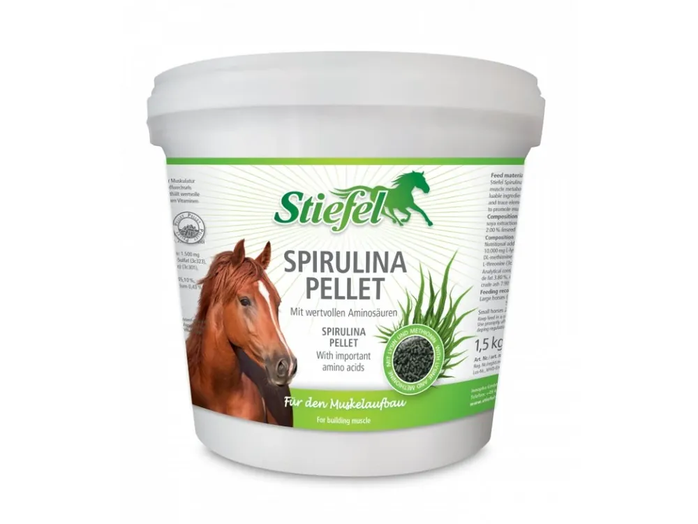 Cenově Výhodný Spirulina pro nasvalení a svalový metabolismus, Kyblík 1,5 kg