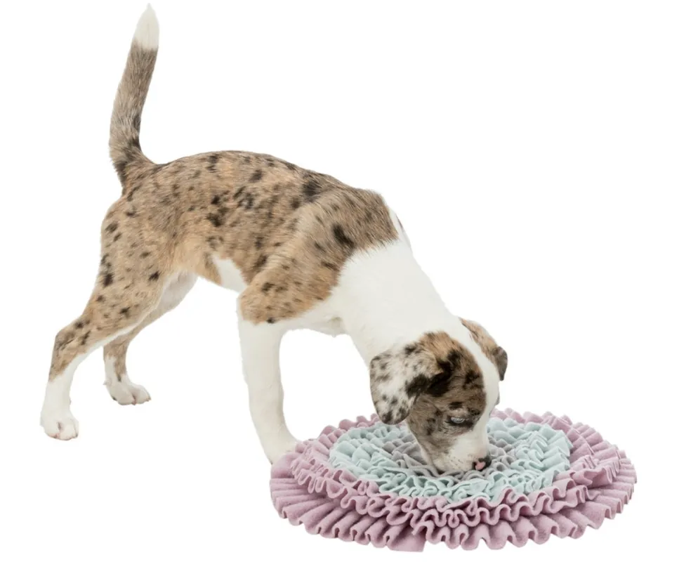 TRIXIE JUNIOR Dog Activity čichací koberec 38 cm Cenově Výhodný