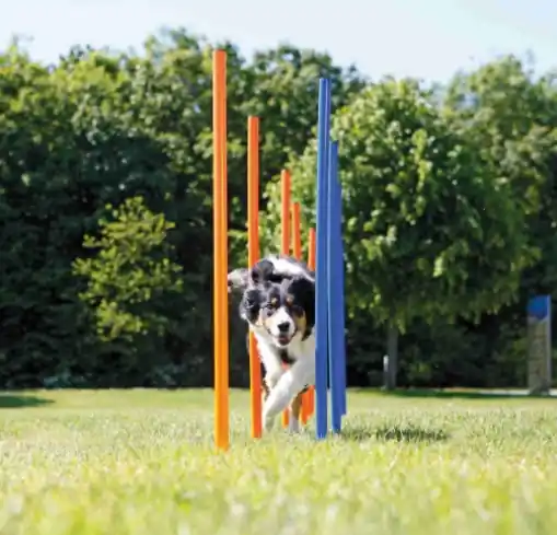 Nakupujte Hned TRIXIE AGILITY Slalom, tyče 12ks