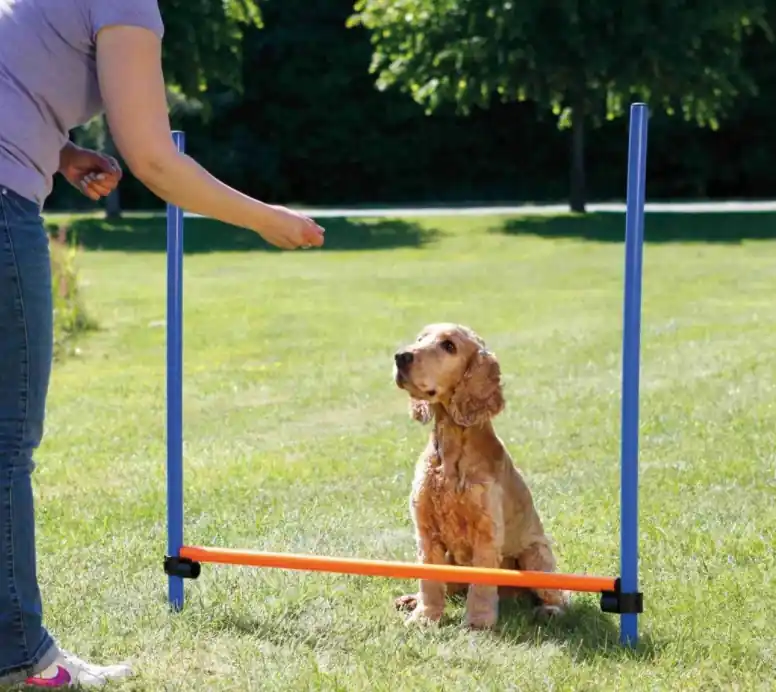 TRIXIE AGILITY překážka, 3 tyče 129x115cm Autentický