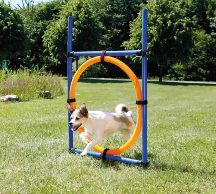 Časově Omezené TRIXIE AGILITY kruh proskakovací
