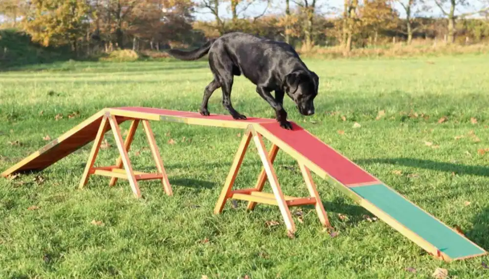 TRIXIE Dog Activity AGILITY nácviková lávka 456x64x30 cm Vysoce Kvalitní