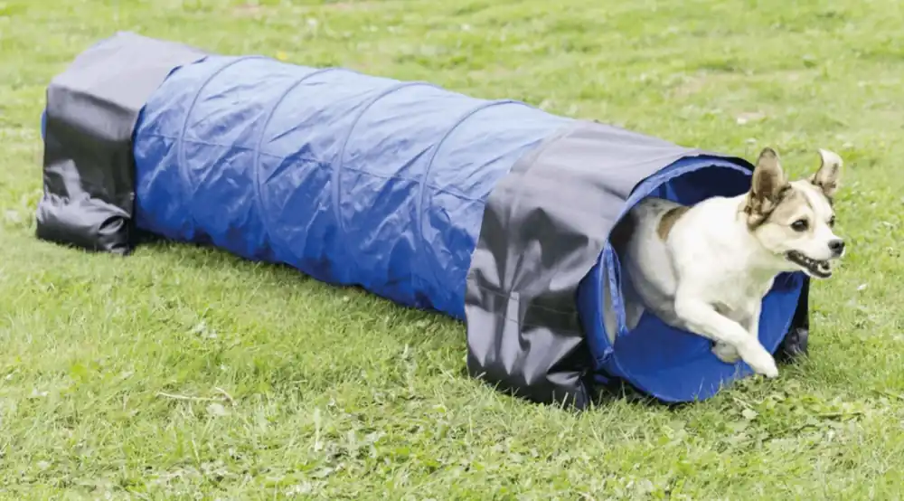 Kup Teď TRIXIE Agility tunel - malý pes, štěně, 40cm/2m - modrý