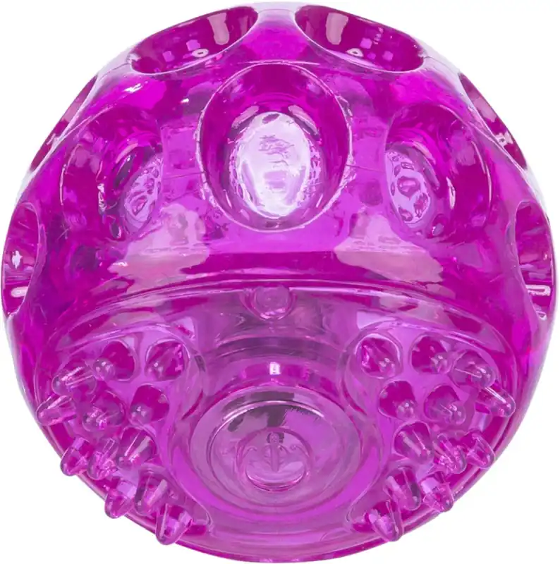 Ihned K Objednání TRIXIE Blikací míček ø 6 cm, bez zvuku, plovoucí (RP 2,10 Kč)