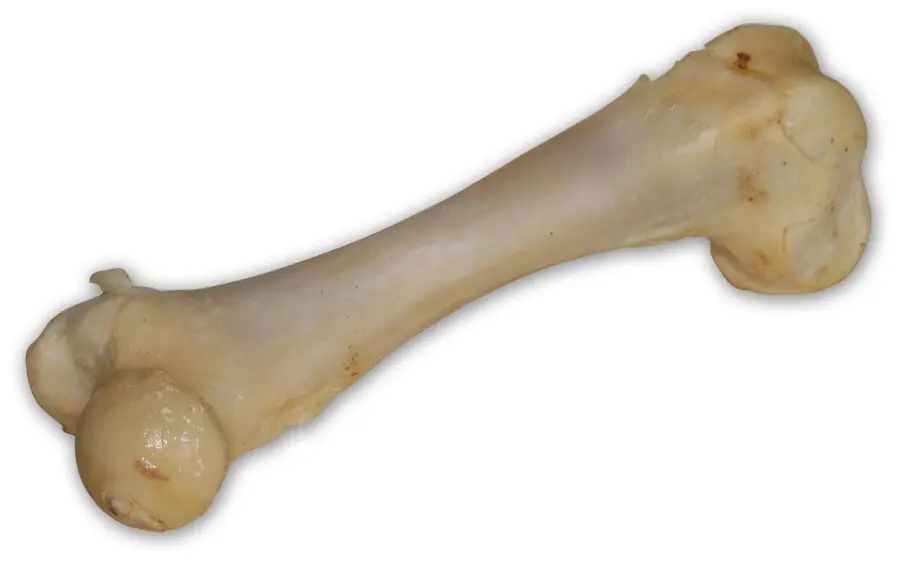 Vepřová kost bílá - extrudovaná 1 ks/17 cm Víkendová Akce