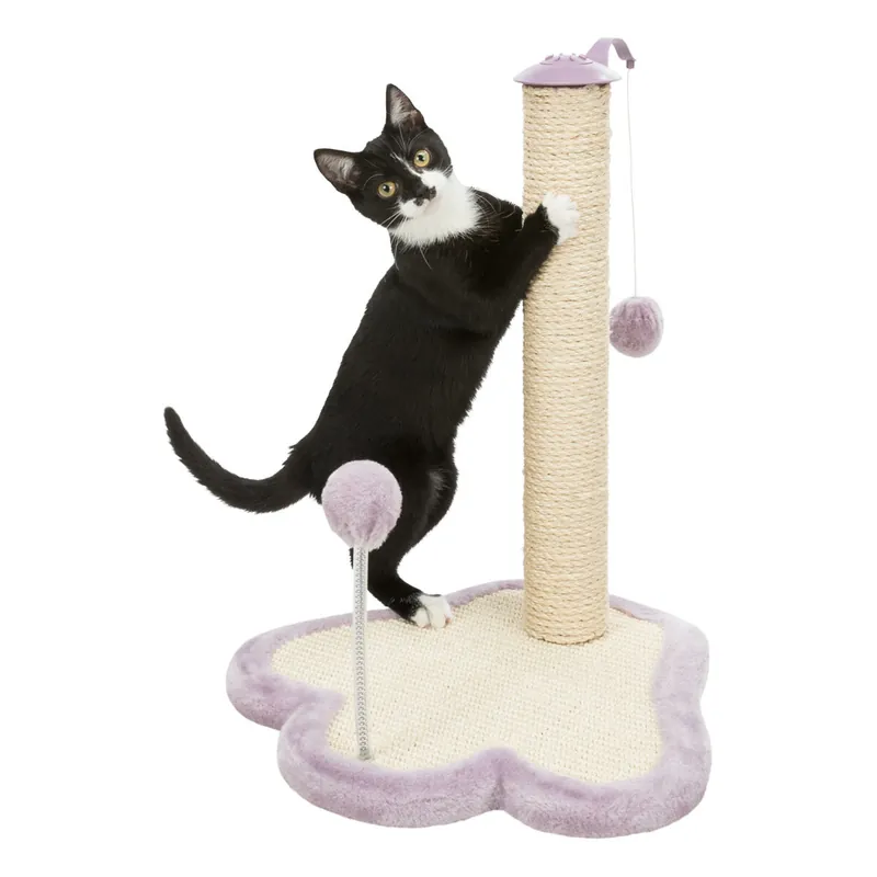 Levný TRIXIE JUNIOR škrabadlo packa s kuličkou na pružině a gumičce 40 x 38 cm