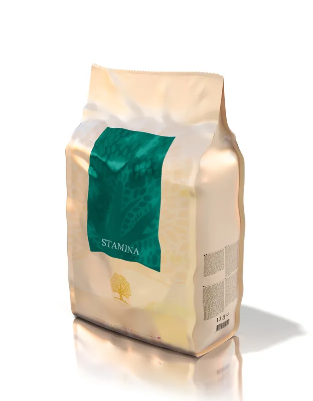 ESSENTIAL FOODS Stamina Small 2,5 kg Vrácení Zdarma