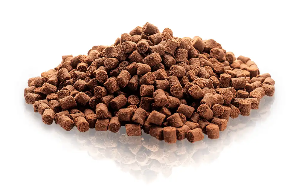 Sezónní Sleva ESSENTIAL Motivation Delights 500 g