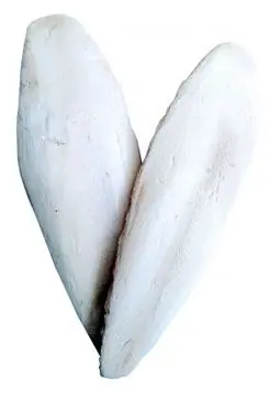 Kup Teď Kost sépiová 20cm (+/-3cm) 10ks